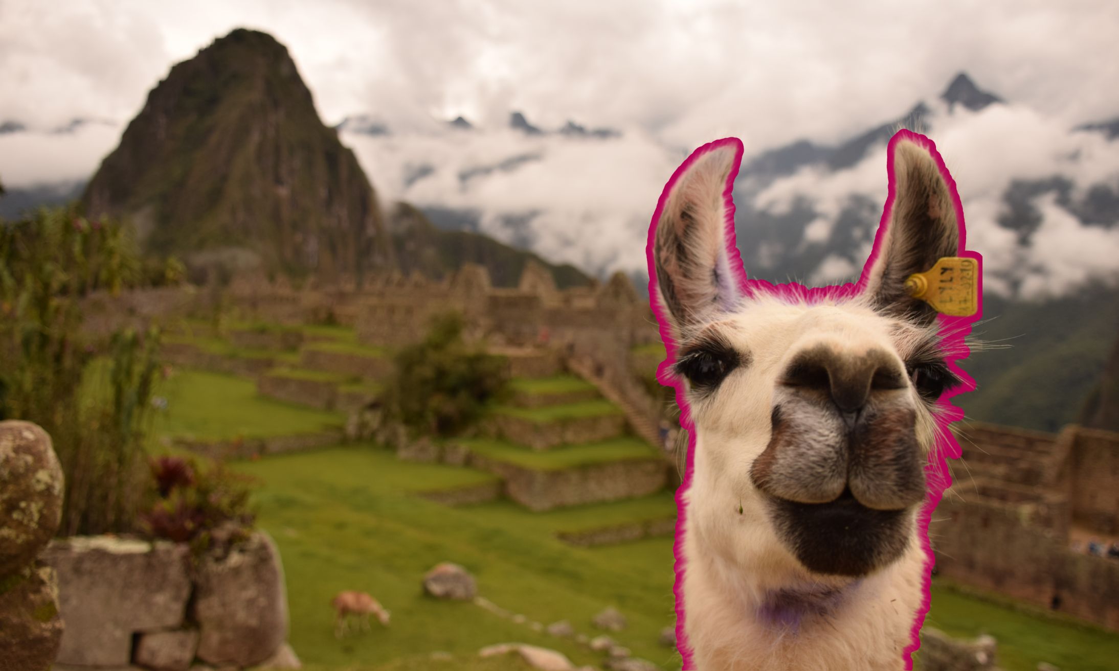 Machu Picchu tours in Peru