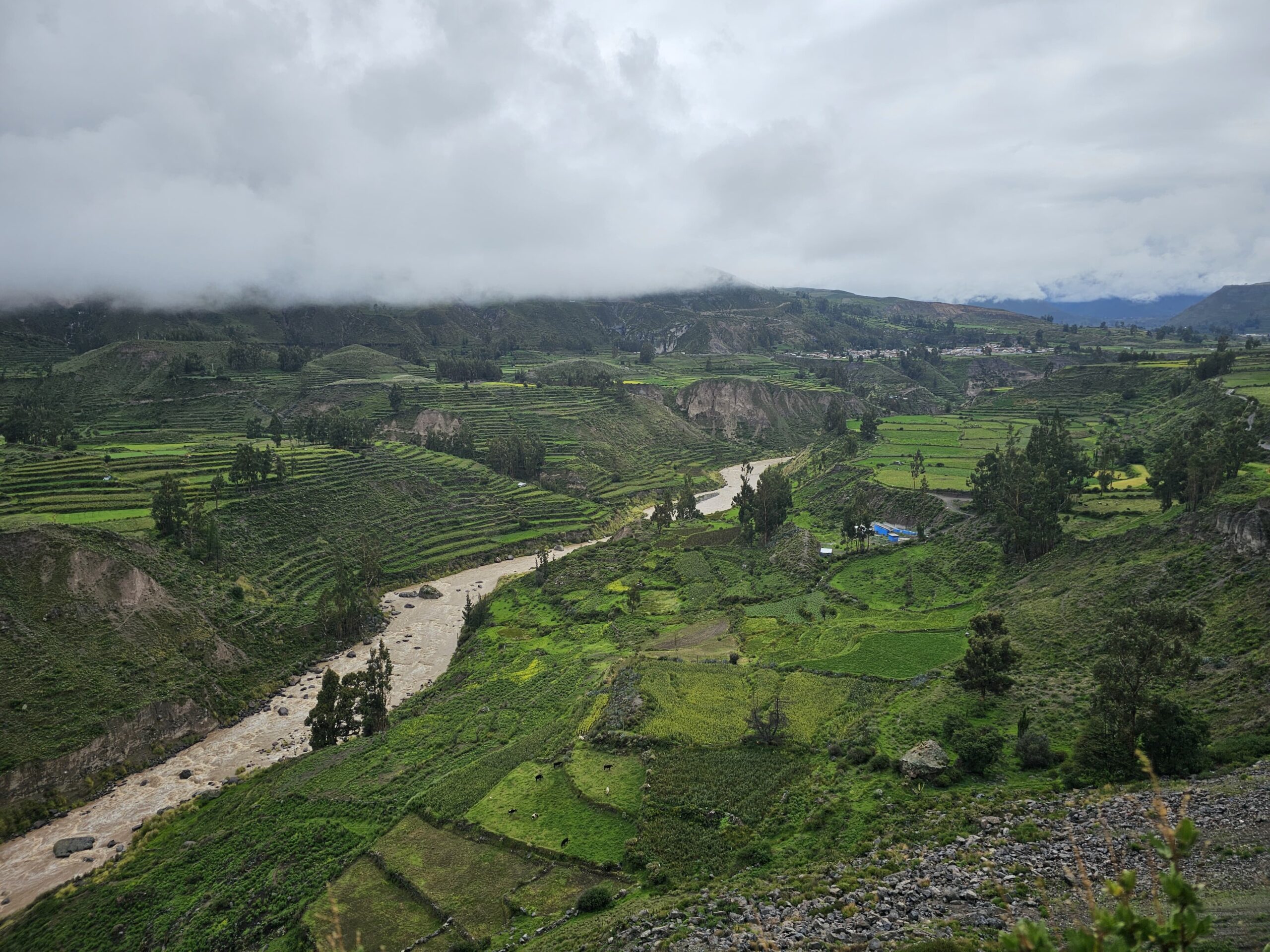 How to Get from Arequipa to Colca Canyon: The Ultimate Travel Guide