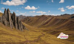 Bosque de Piedras Palcoyo Peru: A Complete Travel Guide