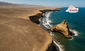 Guide to Visiting Nazca Lines and Paracas National Reserve